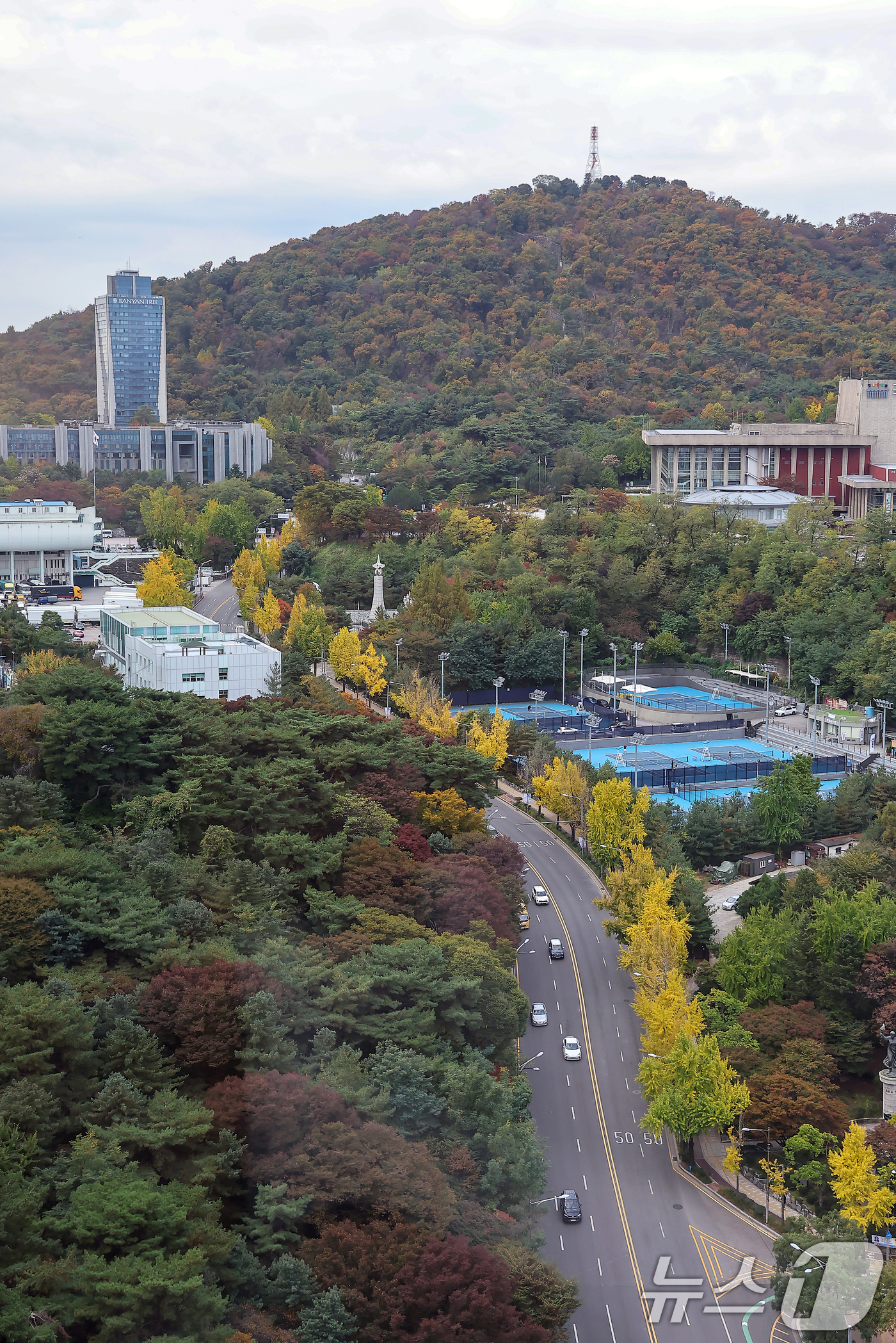 (서울=뉴스1) 김진환 기자 = 전국이 대체로 맑고 선선한 가을 날씨를 보인 29일 오전 서울 중구 신라호텔에서 바라본 남산에 단풍이 울긋불긋 물들어 있다. 2024.10.29/뉴 …