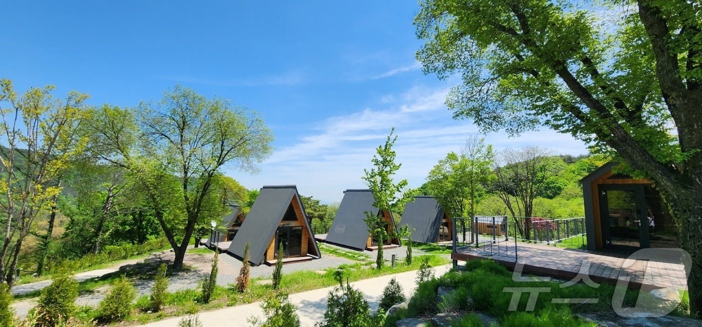 본문 이미지 - 황매산 숲속야영장(합천군 제공).