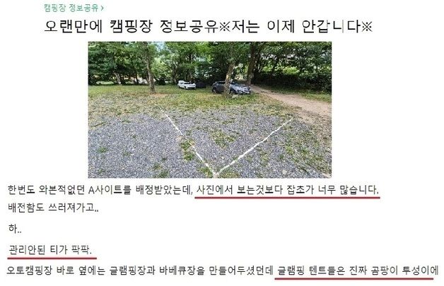 캠핑족 울리는 캠핑장 '사진발'…캠핏·야놀자 등 플랫폼이 직접 관리