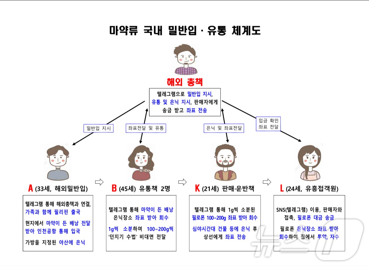 본문 이미지 - 마약류 국내 밀반입·유통 체계도(서울강남경찰서 제공)