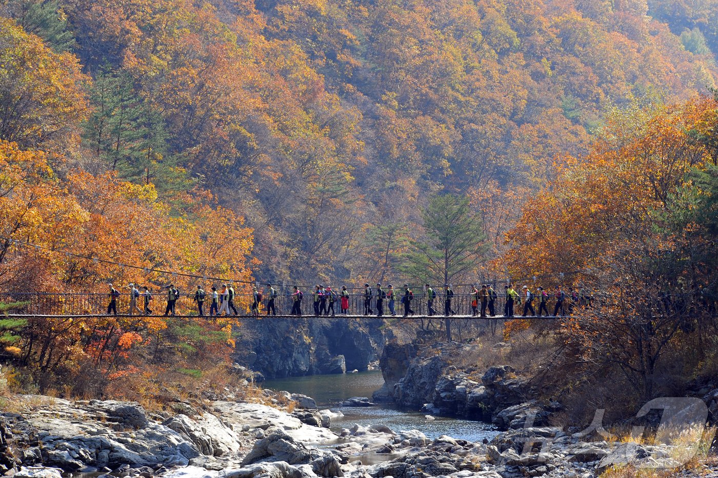 본문 이미지 - 강원 양구 두타연 출렁다리.(양구군 제공)