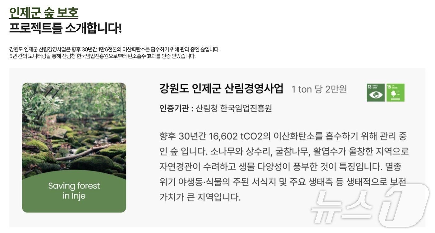 본문 이미지 - 강원 인제 숲 보존 사업 설명&#40;내일의 쓰임 홈페이지&#41; ⓒ 뉴스1