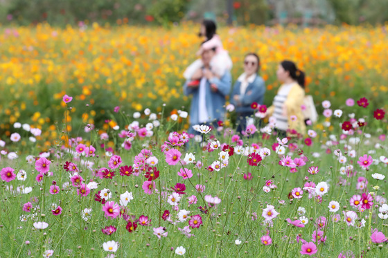 10년 전보다 노동시간 20% 줄었다…'일요일 가족 시간' 거의 세배로↑