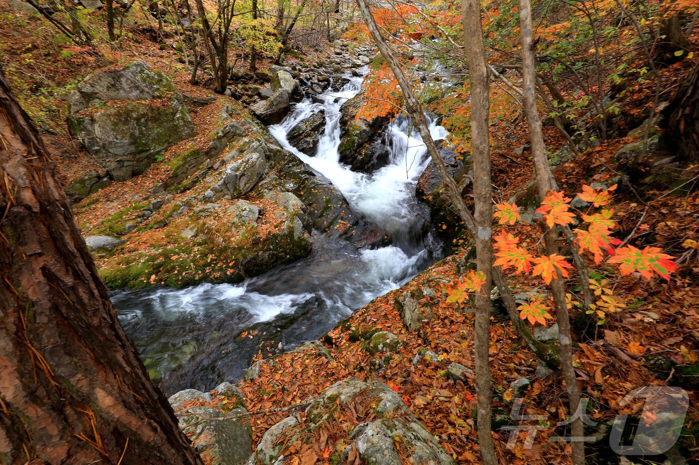 본문 이미지 - 지난 29일 오후 강원 인제군 기린면 방태산 이단폭포 일대가 울긋불긋한 단풍으로 물들면서 아름다운 가을 풍경을 연출하고 있다.(인제군 제공)2024.10.30/뉴스1 ⓒ News1 윤왕근 기자