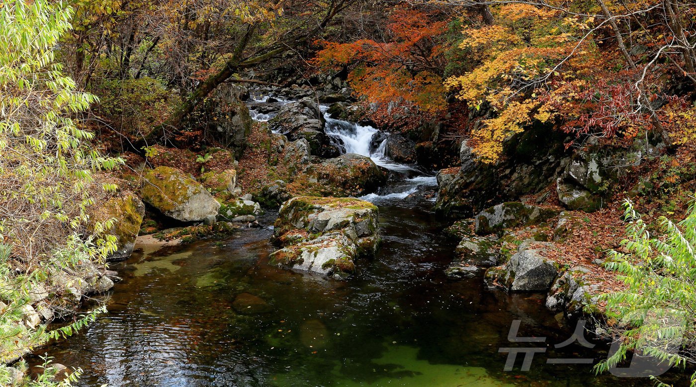 본문 이미지 - 지난 29일 오후 강원 인제군 기린면 방태산 이단폭포 일대가 울긋불긋한 단풍으로 물들면서 아름다운 가을 풍경을 연출하고 있다. (인제군 제공)2024.10.30/뉴스1 ⓒ News1 윤왕근 기자