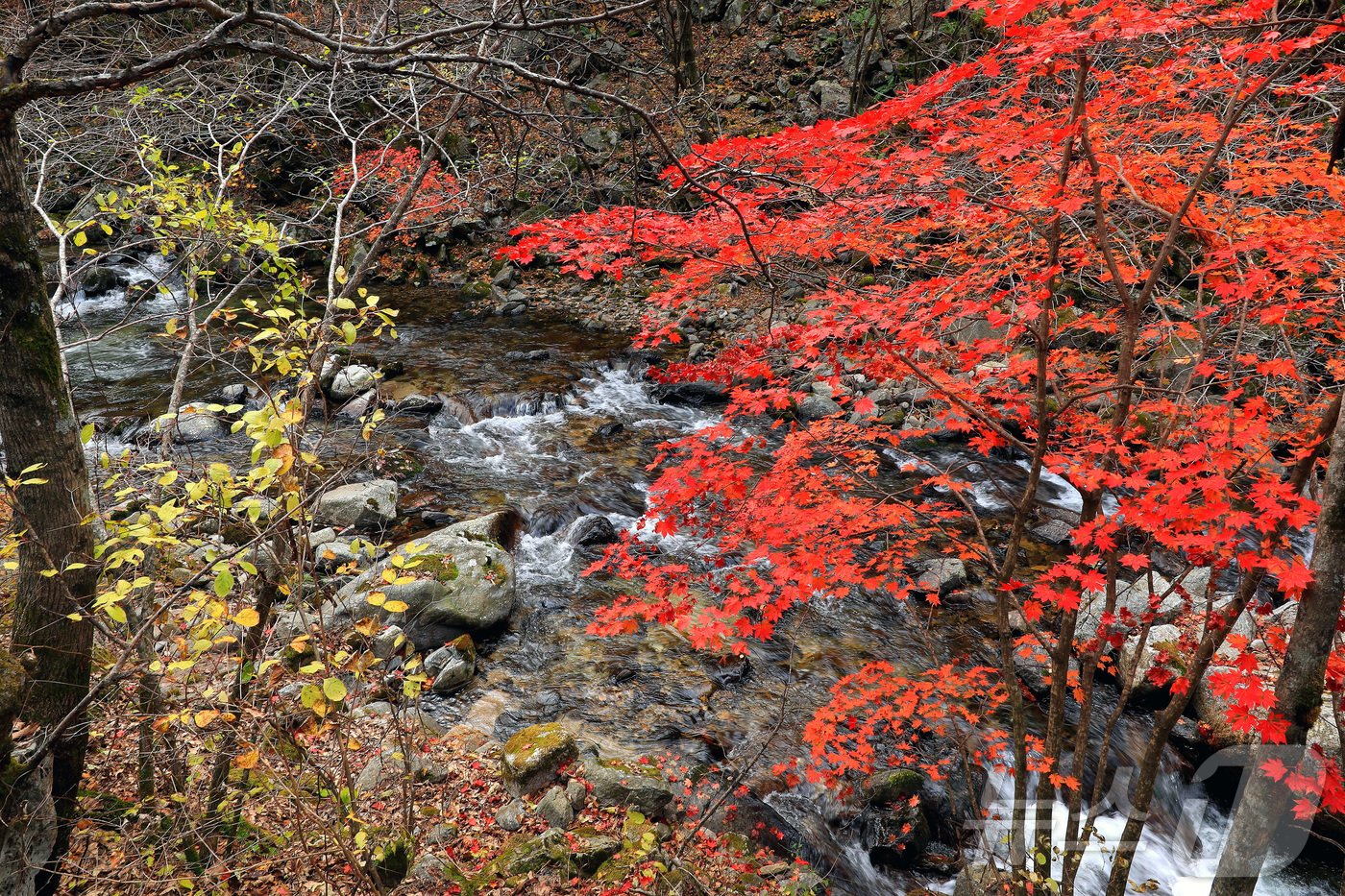 본문 이미지 - 지난 29일 오후 강원 인제군 기린면 방태산 이단폭포 일대가 울긋불긋한 단풍으로 물들면서 아름다운 가을 풍경을 연출하고 있다.(인제군 제공)2024.10.30/뉴스1 ⓒ News1 윤왕근 기자