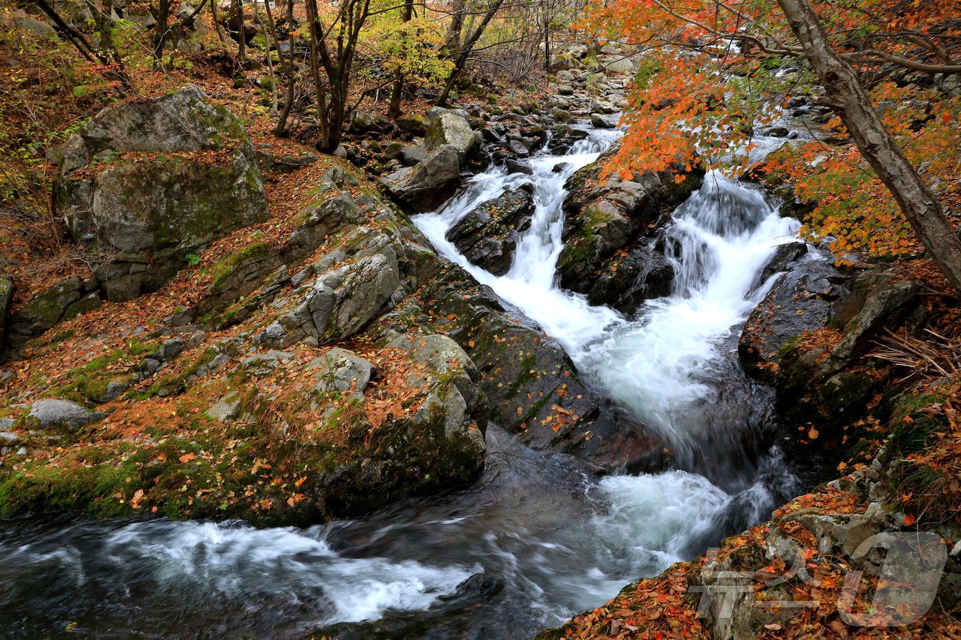 본문 이미지 - 지난 29일 오후 강원 인제군 기린면 방태산 이단폭포 일대가 울긋불긋한 단풍으로 물들면서 아름다운 가을 풍경을 연출하고 있다.(인제군 제공)2024.10.30/뉴스1 ⓒ News1 윤왕근 기자