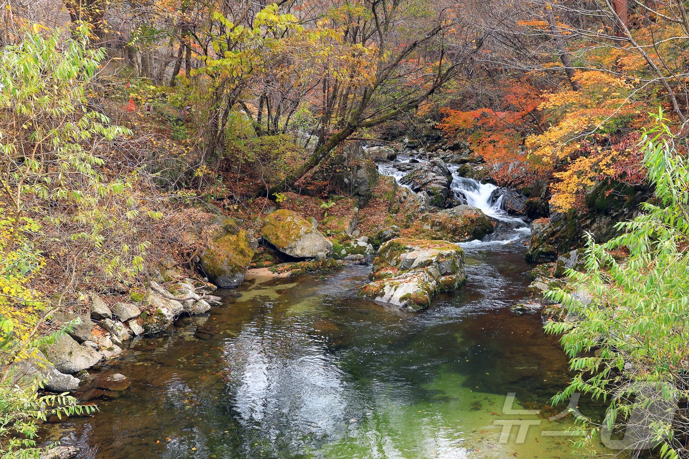 본문 이미지 - 지난 29일 오후 강원 인제군 기린면 방태산 이단폭포 일대가 울긋불긋한 단풍으로 물들면서 아름다운 가을 풍경을 연출하고 있다.(인제군 제공)2024.10.30/뉴스1 ⓒ News1 윤왕근 기자