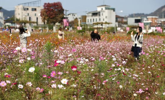 [오늘의 날씨] 경기(3일, 일)…맑고 일교차 10도 이상