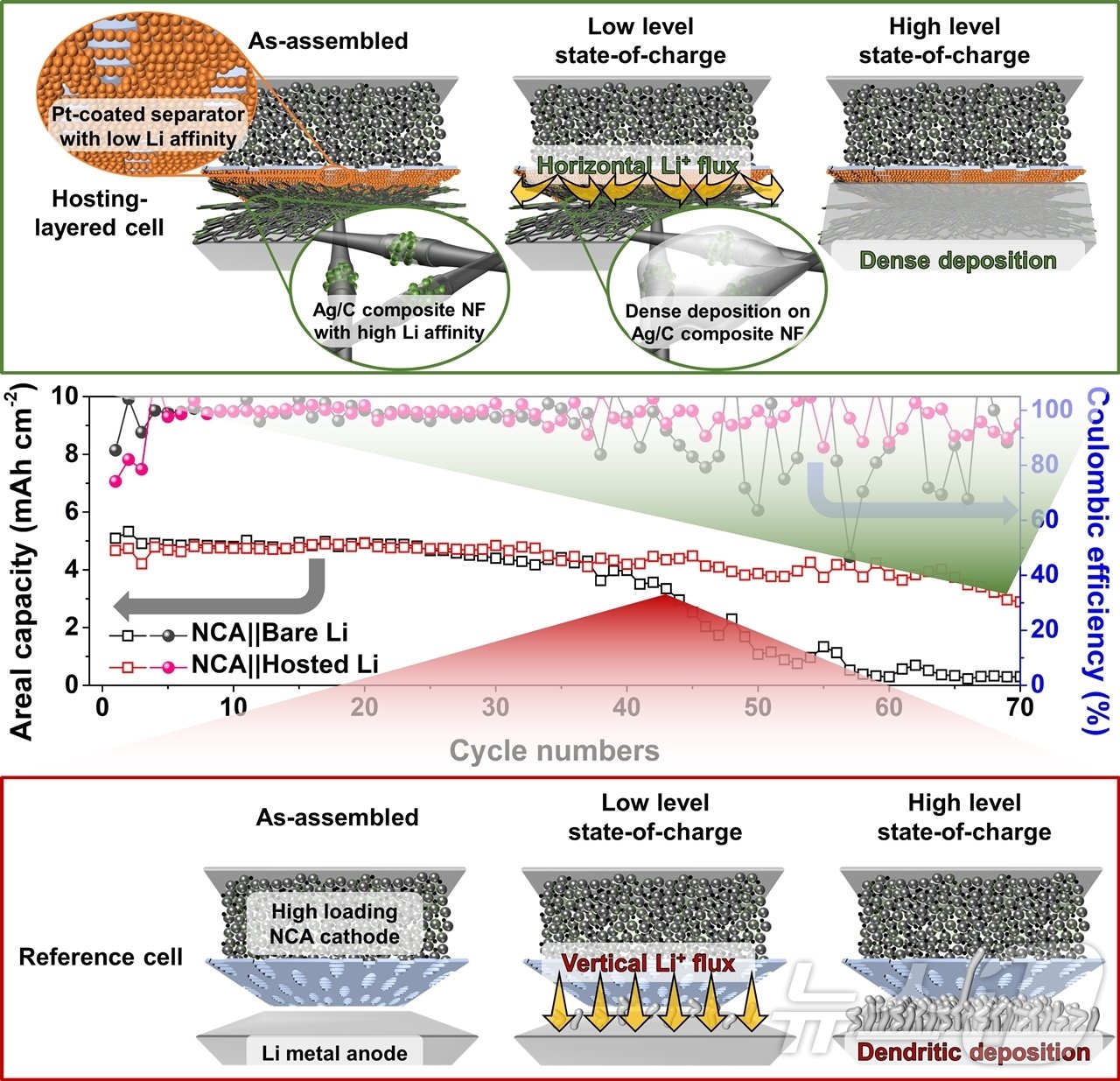본문 이미지 - 연구 모식도[짧은 수명의 대조군 (아래쪽)과 연구팀이 개발한 호스트를 적용해 수명이 78% 향상된 리튬금속전지(위쪽)] 모습.(단국대 제공)