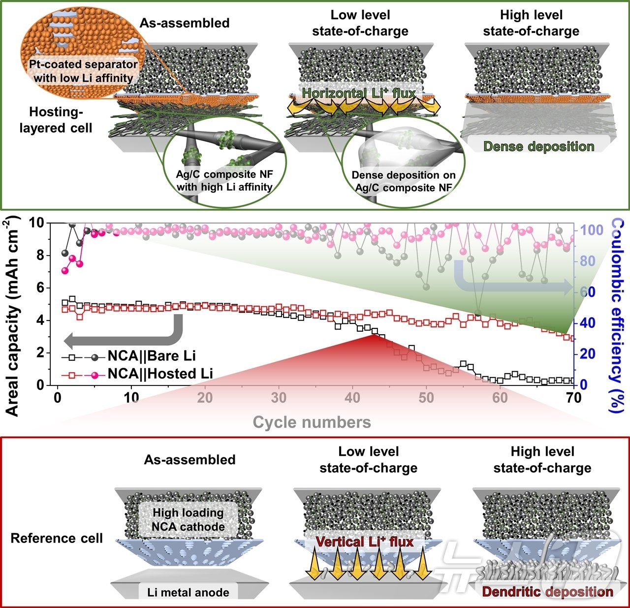 연구 모식도[짧은 수명의 대조군 &#40;아래쪽&#41;과 연구팀이 개발한 호스트를 적용해 수명이 78% 향상된 리튬금속전지&#40;위쪽&#41;] 모습.&#40;단국대 제공&#41;