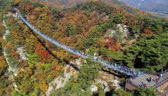 단풍 명소 소금산밸리…원주 간현관광지 11월 1~3일 연장 운영