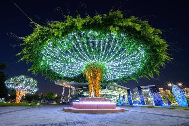 본문 이미지 - 지난해 세종시청 앞 광장 야경. (세종시 제공) / 뉴스1