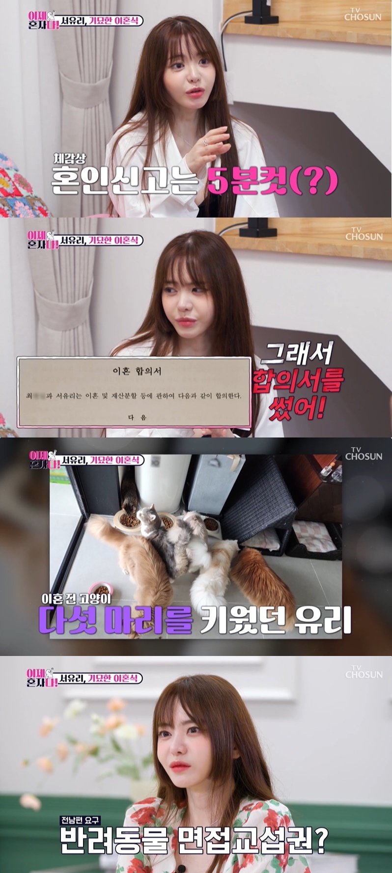 본문 이미지 - (TV조선 '이제 혼자다' 갈무리)