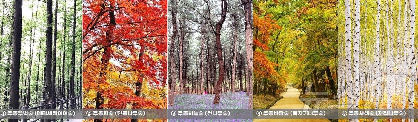 본문 이미지 - 의정부추동숲정원