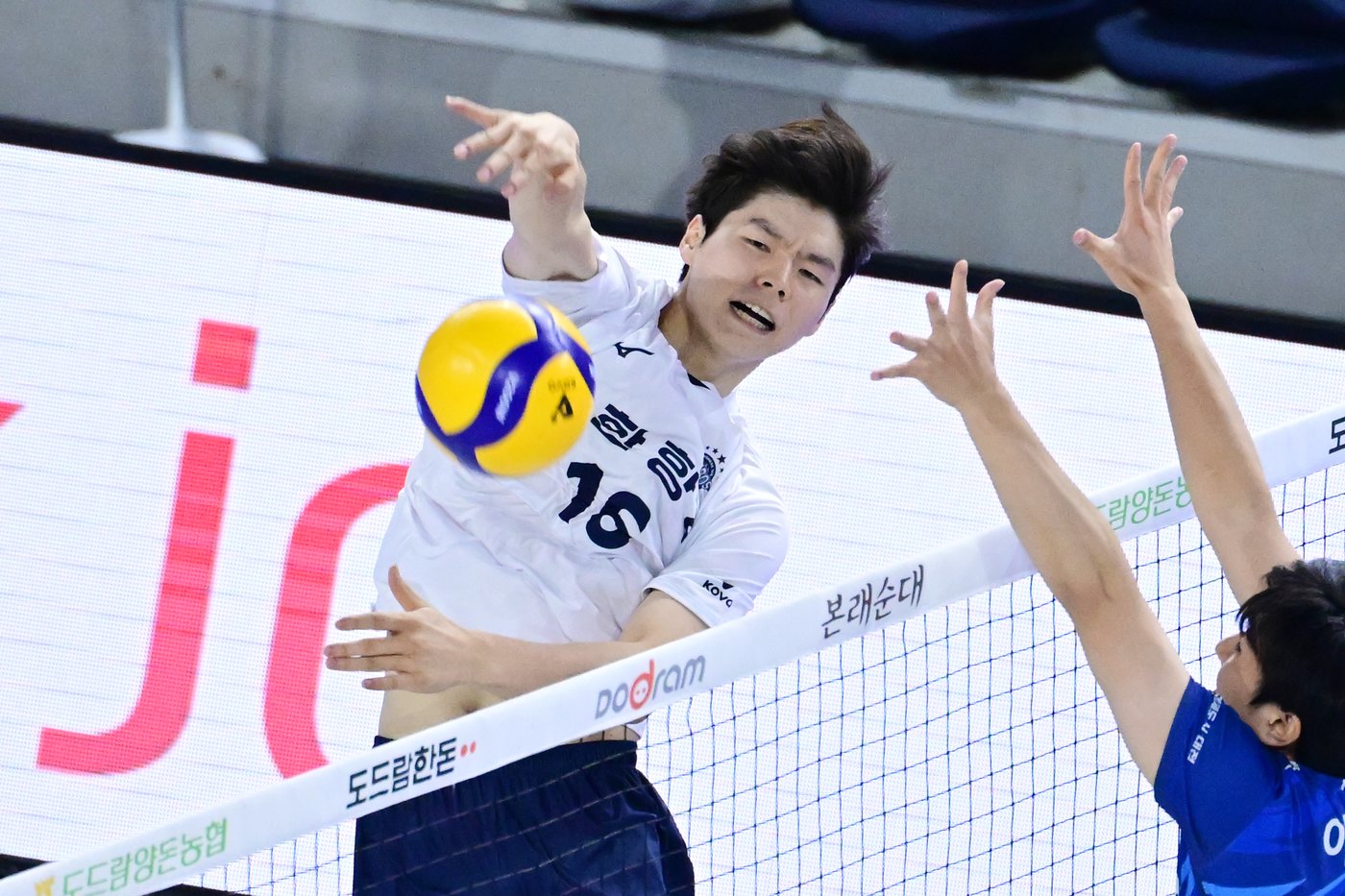 본문 이미지 - 31일 인천계양체육관에서 열린 프로배구 V리그 남자부 대한항공과 삼성화재의 경기에서 대한항공 정한용이 공격하고 있다. (한국배구연맹 제공) 2024.10.31/뉴스1