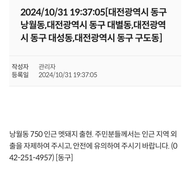 대전 동구 낭월동서 멧돼지 4마리 출현 신고…소방당국 수색중