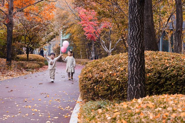 "호캉스 즐길거리 다양하네"…단풍시즌 호텔 프로모션 '풍성'