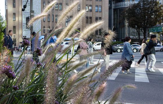 남부 비…출근길 '쌀쌀' 가을 일교차 10도 이상[내일날씨]