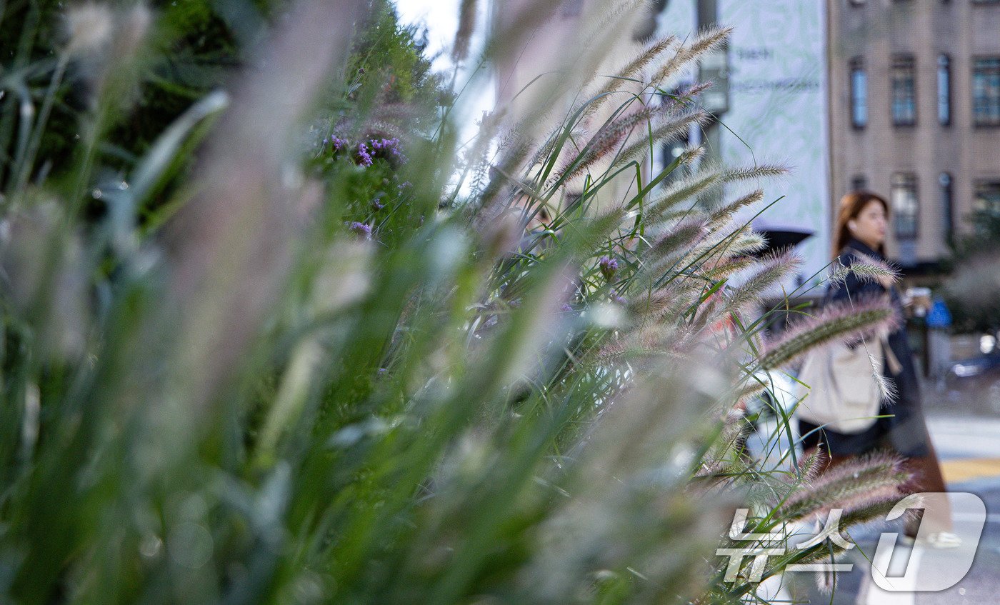 본문 이미지 - 완연한 가을 날씨를 보인 4일 오전 서울 종로구 광화문사거리에서 출근길 시민들이 발걸음을 재촉하고 있다. 2024.10.4/뉴스1 ⓒ News1 이재명 기자