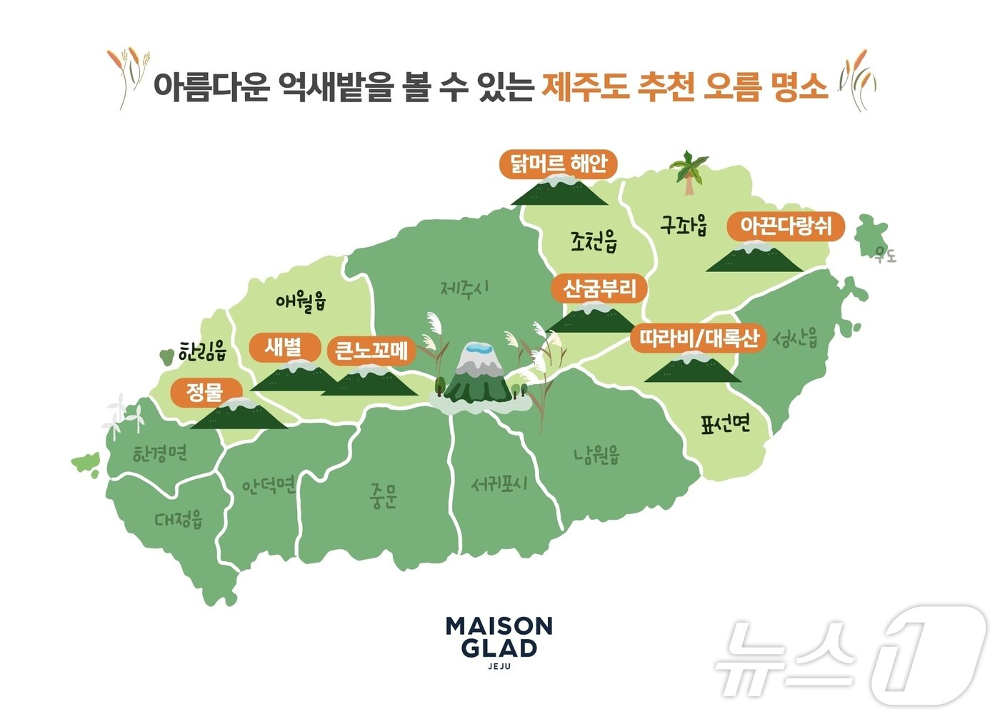 본문 이미지 - 메종글래드제주 인근에서 억새를 즐길 수 있는 오름들.&#40;글래드호텔앤리조트 제공&#41;