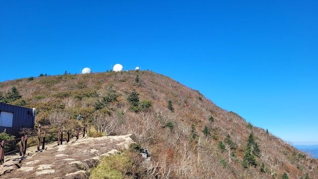 "가을 물들었네"…설악산 첫 단풍 관측, 평년보다 6일 지각