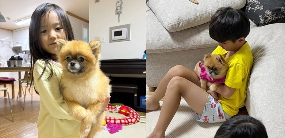 본문 이미지 - 온 가족의 사랑을 듬뿍 받고 살게 된 쿠마 &#40;이민수 에스디동물의료센터 원장 제공&#41; ⓒ 뉴스1