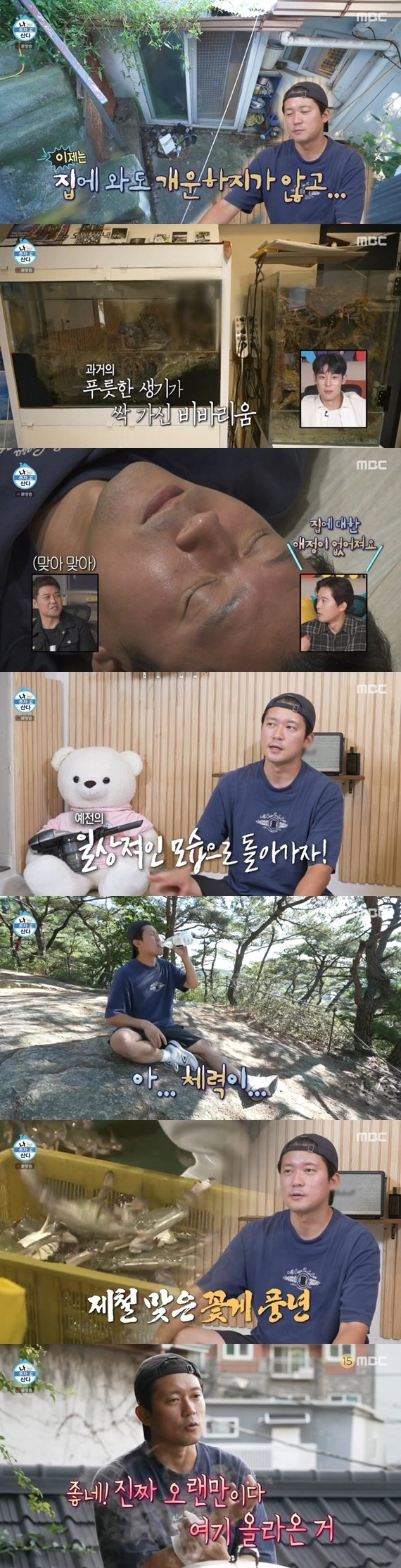 본문 이미지 - MBC '나 혼자 산다'