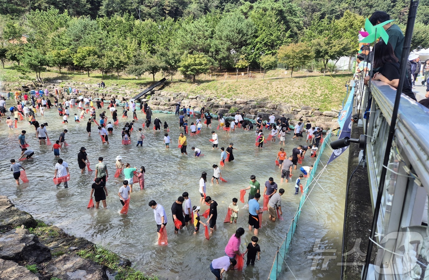 (완주=뉴스1) 강교현 기자 = 5일 전북 완주군 고산자연휴양림 일원에서 열린 완주와일드&로컬푸드 축제를 찾은 관광객들이 맨손 물고기 잡기 체험을 하고 있다. 2024.10.5/뉴 …