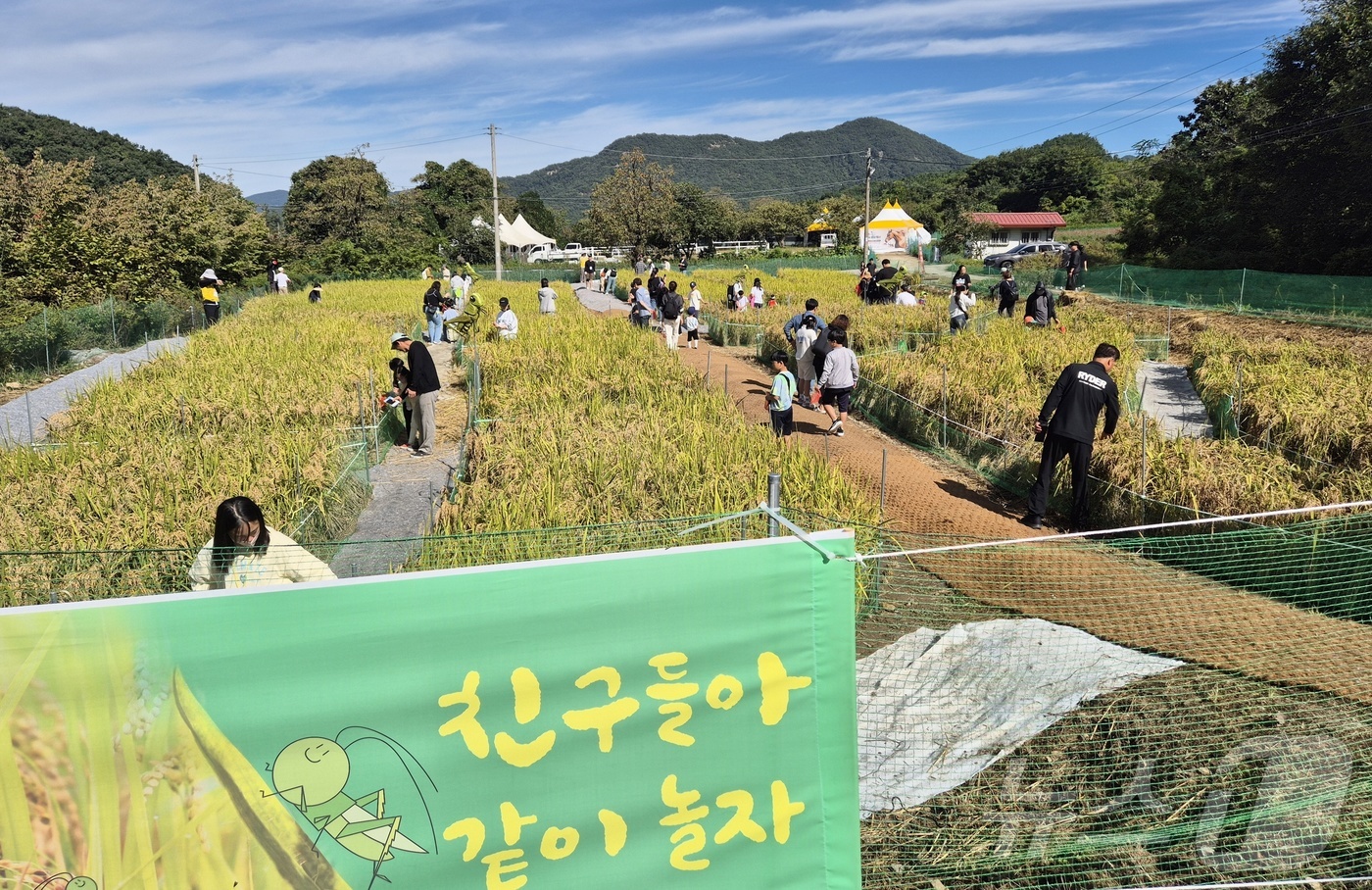 (완주=뉴스1) 강교현 기자 = 5일 전북 완주군 고산자연휴양림 일원에서 열린 완주와일드&로컬푸드 축제를 찾은 가족들이 메뚜기 잡기 체험활동을 하고 있다. 2024.10.5/뉴스1 …