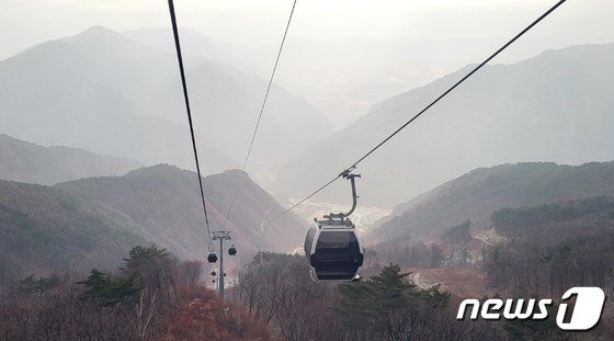 본문 이미지 - 강원 정선 가리왕산 케이블카. (뉴스1 DB)