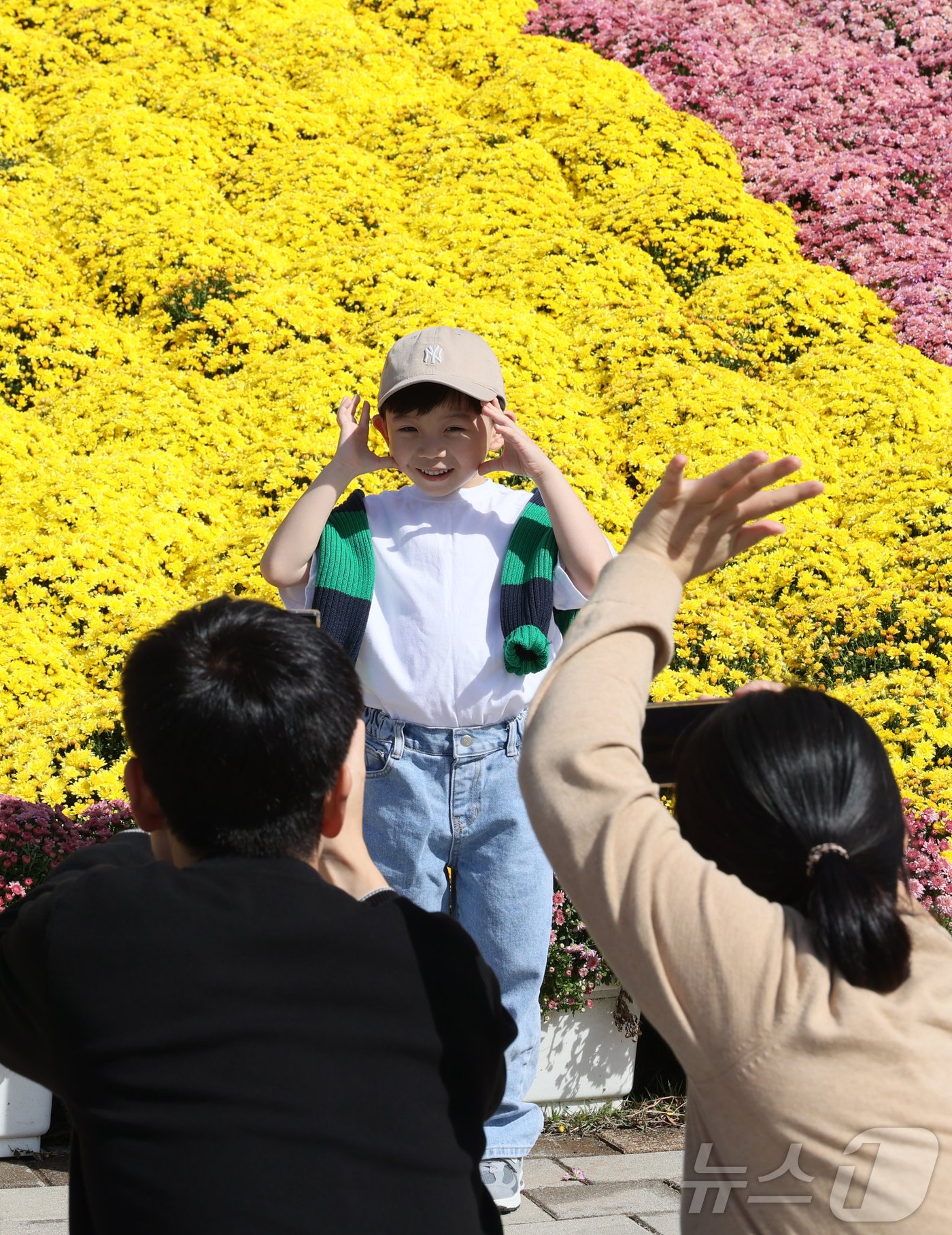 5일 전북자치도 임실군에서 치즈축제가 열리고 있는 가운데 관광객들이 국화를 배경르로 사진을 찍고 있다.&#40;임실군제공&#41;2024.10.5/뉴스1 ⓒ News1 김동규 기자