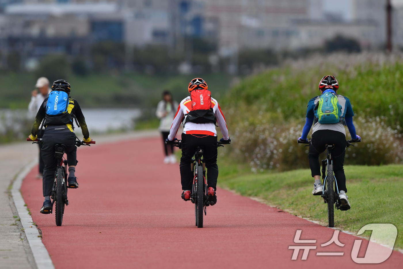 (포항=뉴스1) 최창호 기자 = 6일 경북 포항시 남구 연일읍 형산강 자전거도로에서 시민들이 가을을 만끽히고 있다. 2024.10.6/뉴스1