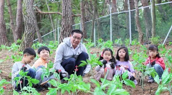 함양산삼축제 "산삼캐기 체험해요'