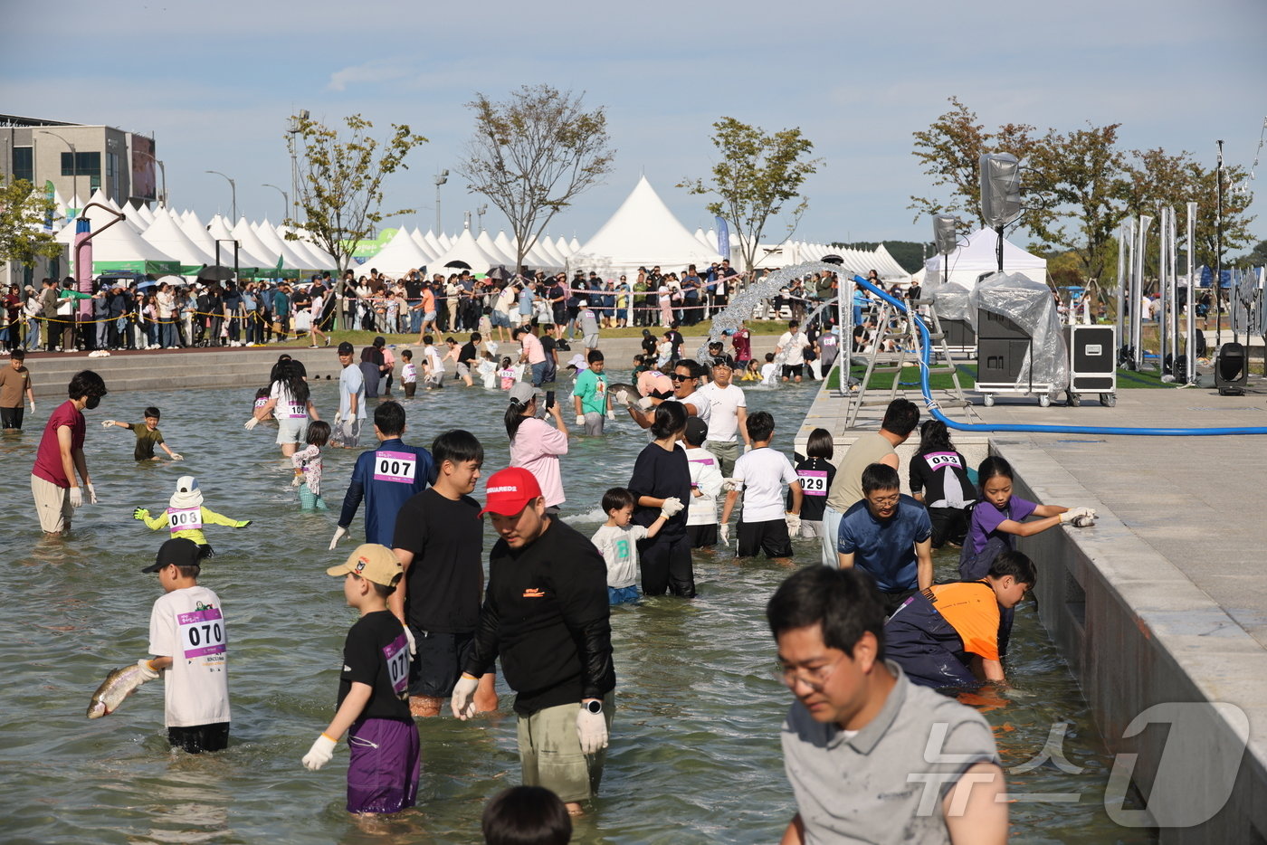 본문 이미지 - 2024 양양송이연어축제 자료사진. &#40;양양문화재단 제공&#41; 2024.10.6/뉴스1
