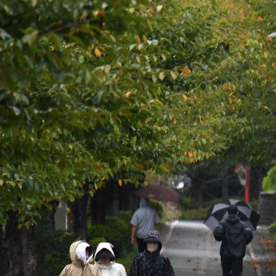 [오늘의 날씨] 광주·전남(14일, 월)…최대 60㎜ 가을비