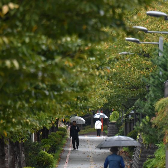 [오늘의 날씨] 대구·경북(8일.화)…동해안 5~10㎜ 비, 낮 최고 25도