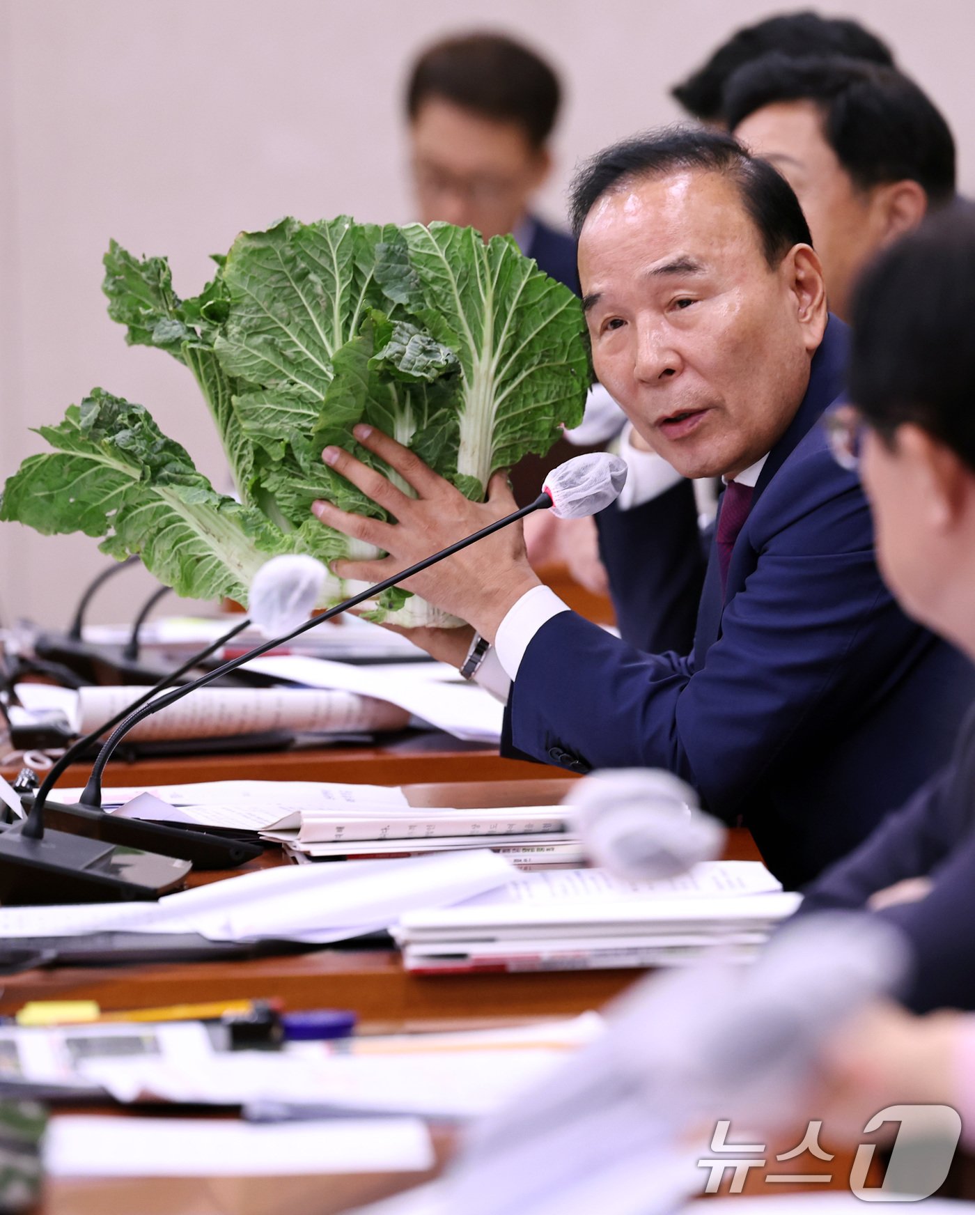 본문 이미지 - 박덕흠 국민의힘 의원이 7일 오전 서울 여의도 국회에서 열린 농림축산식품해양수산위원회의 농림축산식품부에 대한 국정감사에서 배추가격 관련 질의를 하고 있다. 2024.10.7/뉴스1 ⓒ News1 구윤성 기자