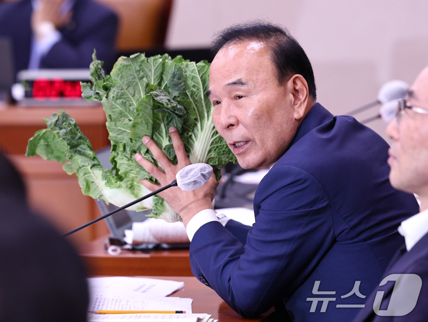 박덕흠 국민의힘 의원이 7일 오전 서울 여의도 국회에서 열린 농림축산식품해양수산위원회의 농림축산식품부에 대한 국정감사에서 배추가격 관련 질의를 하고 있다. 2024.10.7/뉴스1 ⓒ News1 구윤성 기자