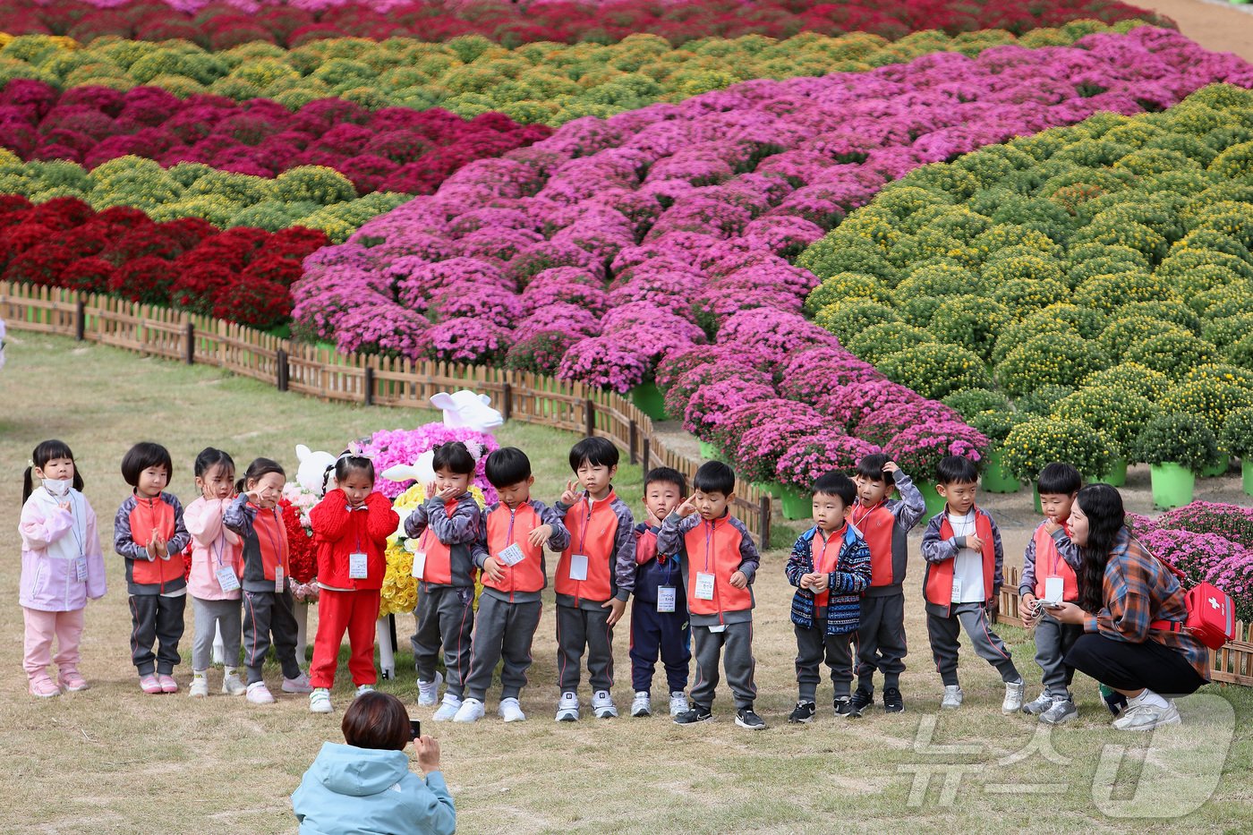 본문 이미지 - 7일 강원 인제 북면 용대리에서 열린 제6회 인제 가을꽃축제장을 찾은 어린이 관람객들이 즐거운 시간을 보내고 있다. '인제에서 꽃길만 걷자'를 주제로 열린 이번 축제의 정원에는 국화, 마편초, 댑싸리, 구절초 등 30여 종에 달하는 야생화 20만 주가 조성됐다. (인제군 제공) 2024.10.7/뉴스1 ⓒ News1 이종재 기자