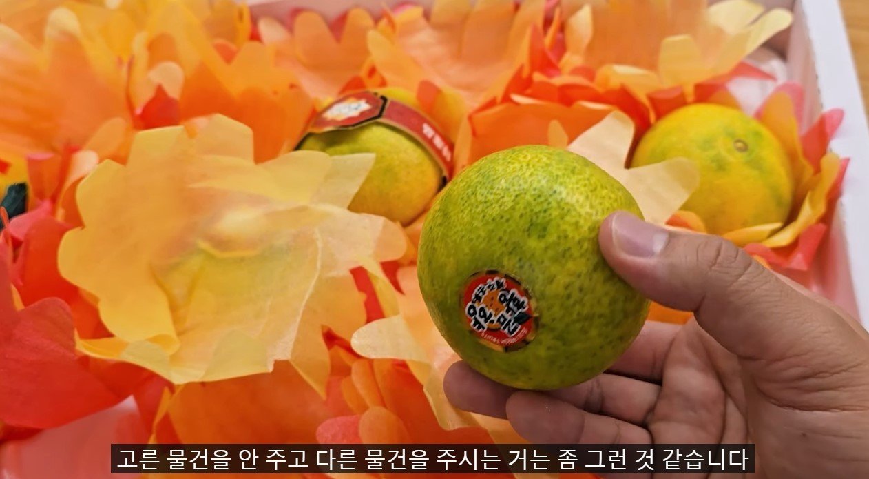 본문 이미지 - (유튜브 채널 '더들리' 갈무리)