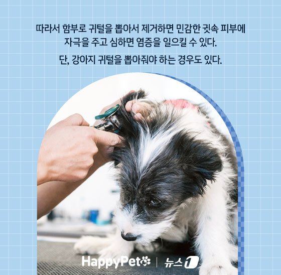 본문 이미지 - ⓒ News1 김지영 디자이너