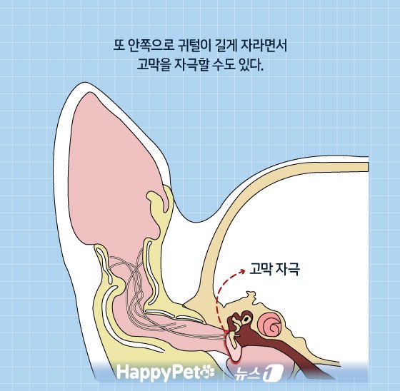 본문 이미지 - ⓒ News1 김지영 디자이너