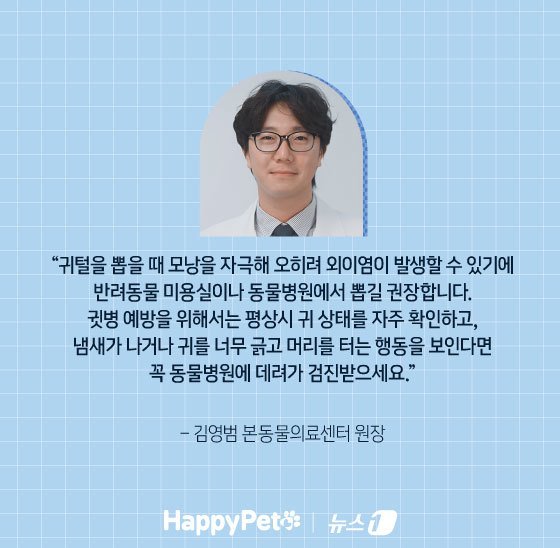 본문 이미지 - ⓒ News1 김지영 디자이너