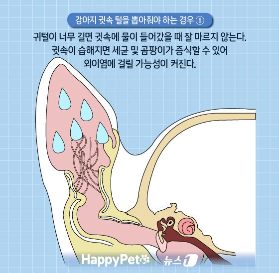 본문 이미지 - ⓒ News1 김지영 디자이너