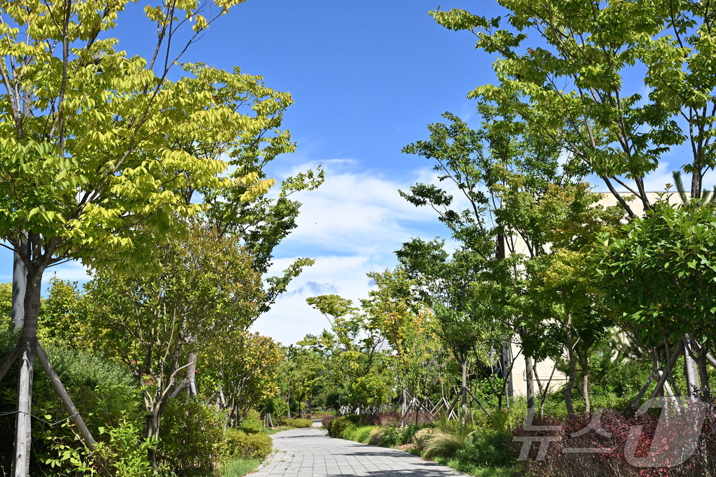 &#39;바람길다님숲&#39;.&#40;울산중구청제공&#41;