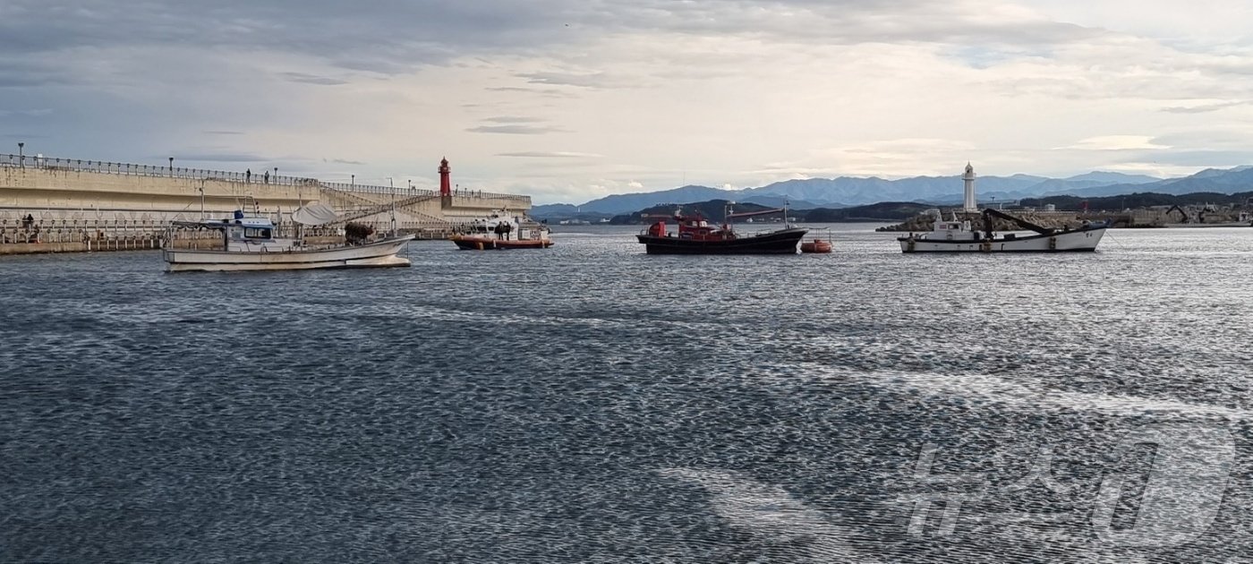 본문 이미지 - 유람선 대포항 입항을 막고 있는 어선들.(선사 제공) 2024.10.7/뉴스1