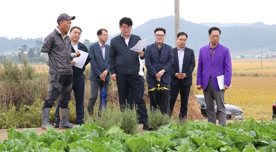 배추 생육 상황 점검하는 권재한 농진청장