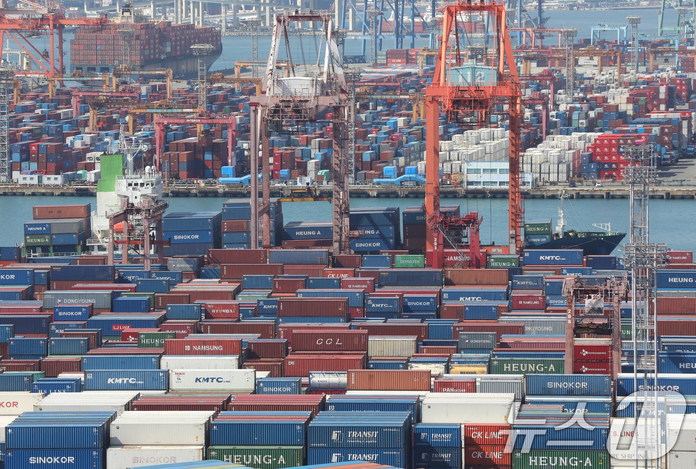 본문 이미지 - 지난 8일 부산항 신선대부두와 감만부두 야적장에 컨테이너가 가득 쌓여 있다. /뉴스1 ⓒ News1 윤일지 기자