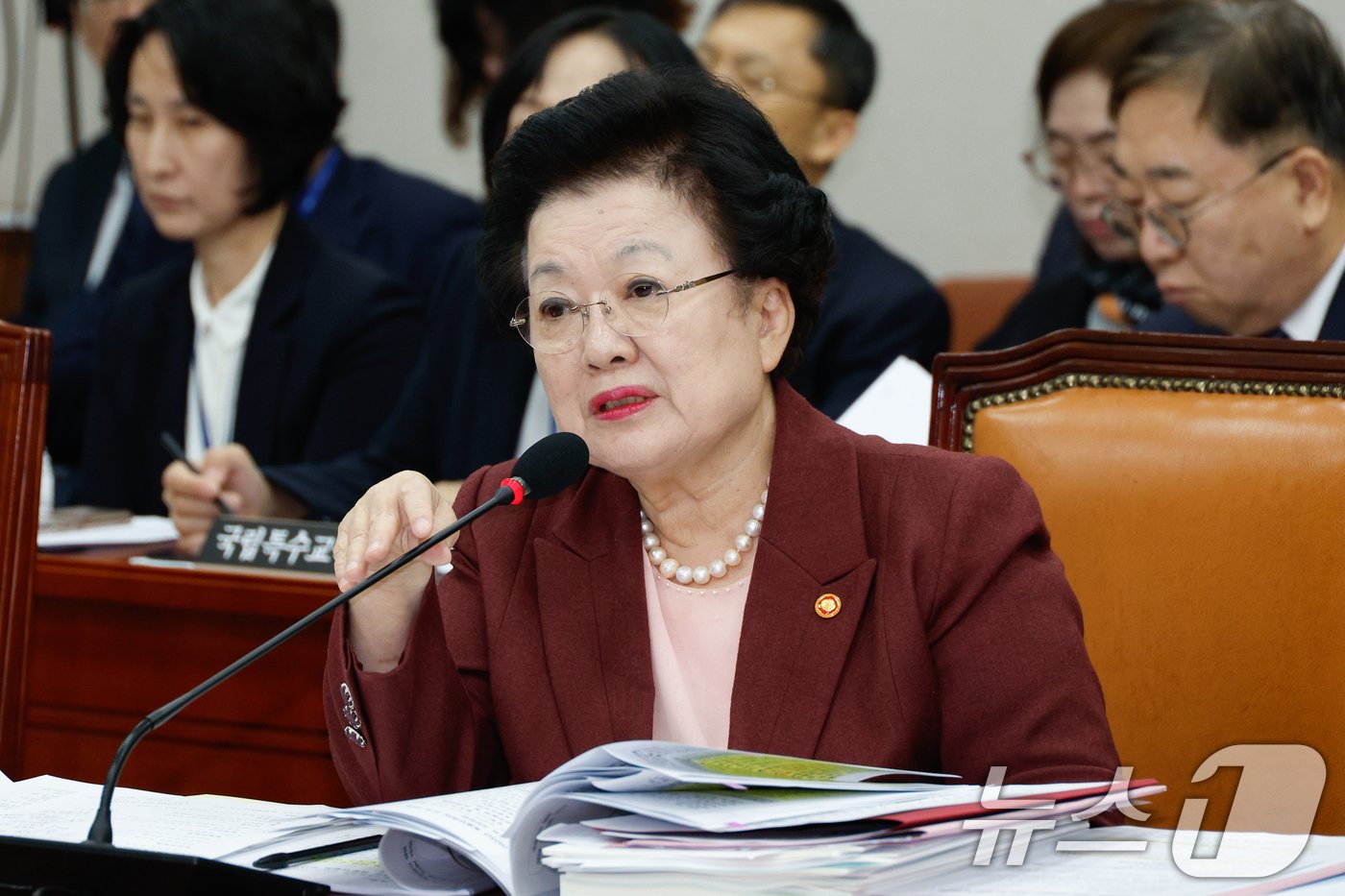 본문 이미지 - 이배용 국가교육위원회 위원장이 국정감사에서 의원 질의에 답하고 있다. /뉴스1 ⓒ News1 안은나 기자